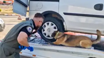 Bolu’da Uyuşturucu Operasyonları: 11 Gözaltı