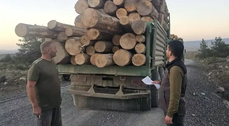Bolu’da Kaçak Ağaç Kesimine 4 Sanığa Hapis Cezası