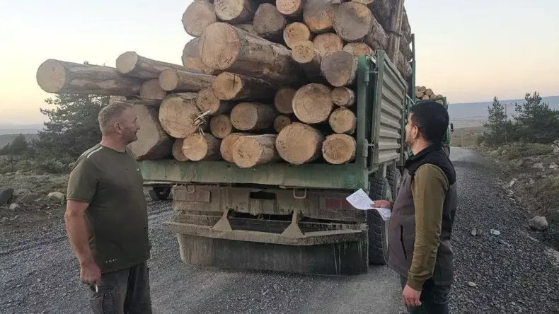 Bolu’da Kaçak Ağaç Kesimine 4 Sanığa Hapis Cezası